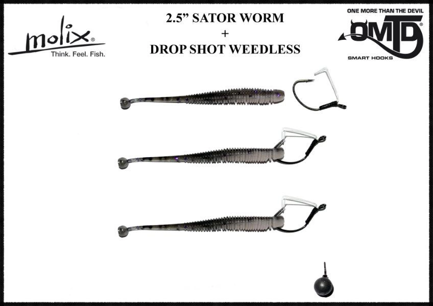 Molix Sator Worm 2,5'', 6,3cm – Bild 3